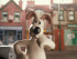 Gromit from Wallace & Gromit, looking confused